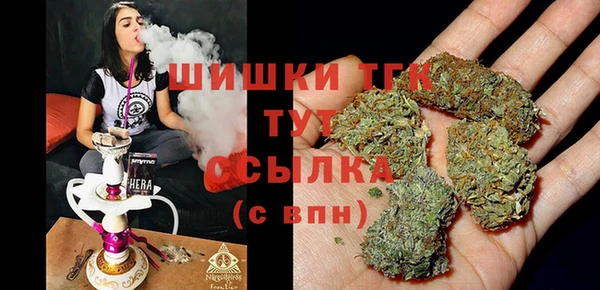 мдпв Дмитриев