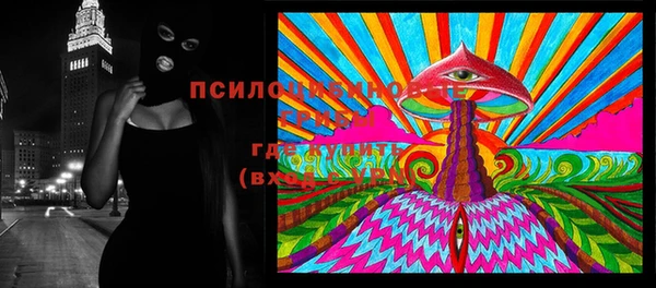 мдпв Дмитриев