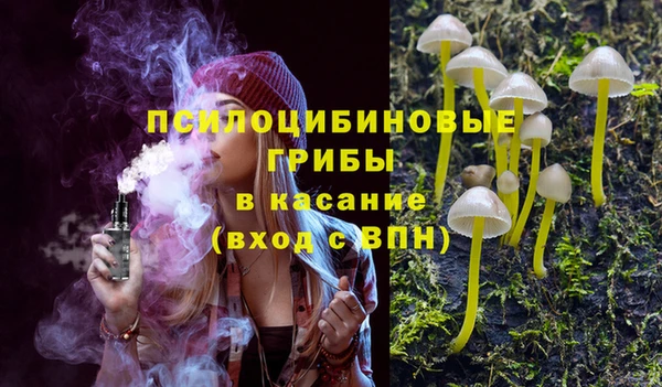 мдпв Дмитриев