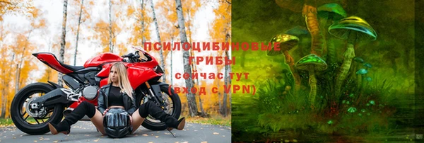 мдпв Дмитриев